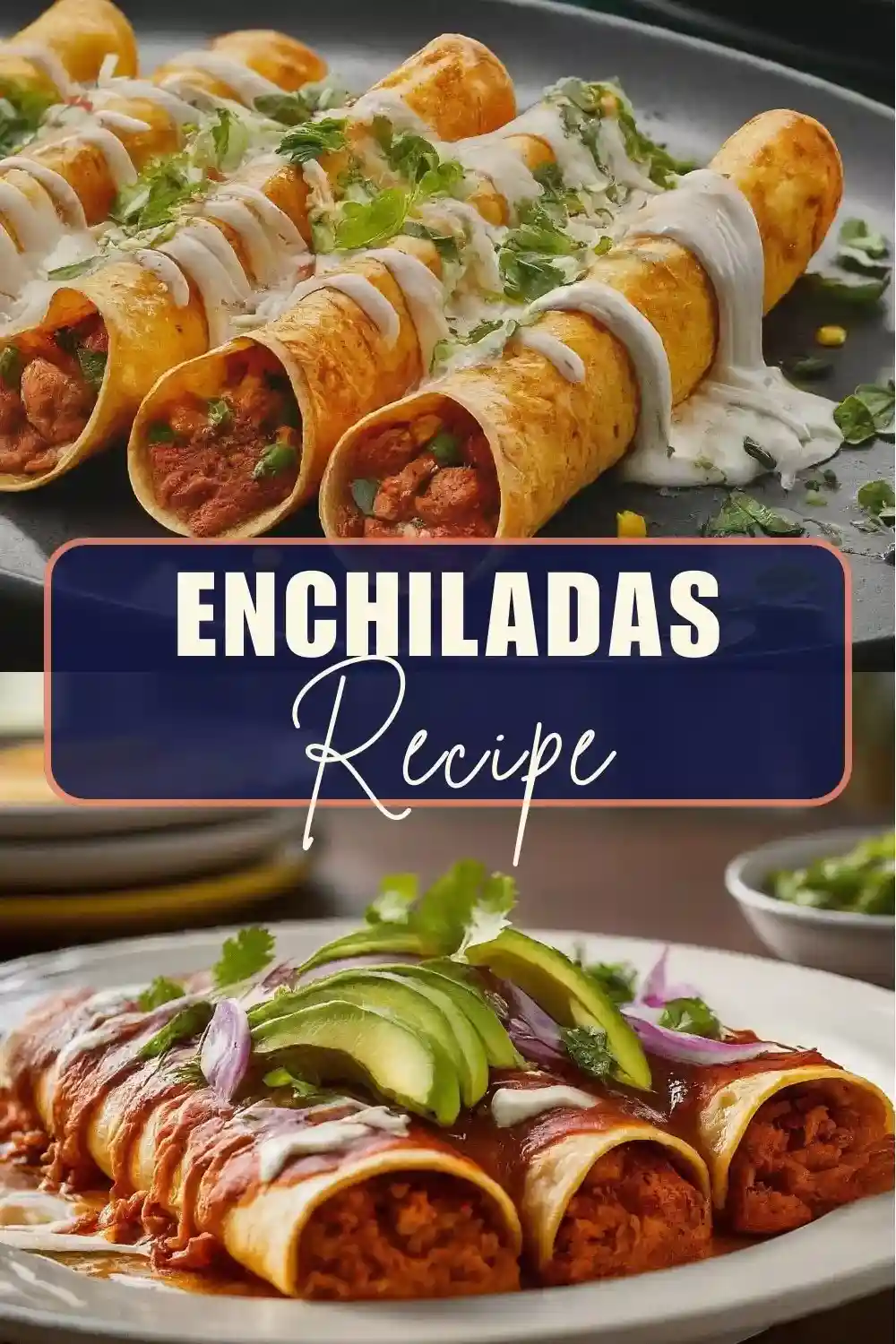 The Enchiladas Recipes Cooker Diary the-enchiladas-recipes-cooker-diary