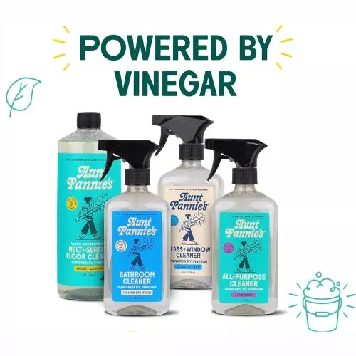 Aunt Fannie’s All-Purpose Cleaner