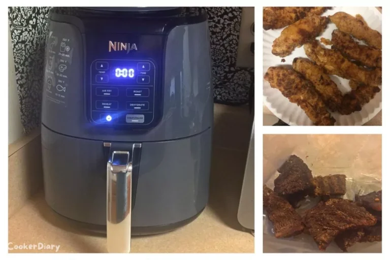Ninja Air Fryer | 4 QT Capacity | 4-in-1 Roast, Crisp, Roast, Reheats, & Dehydrates