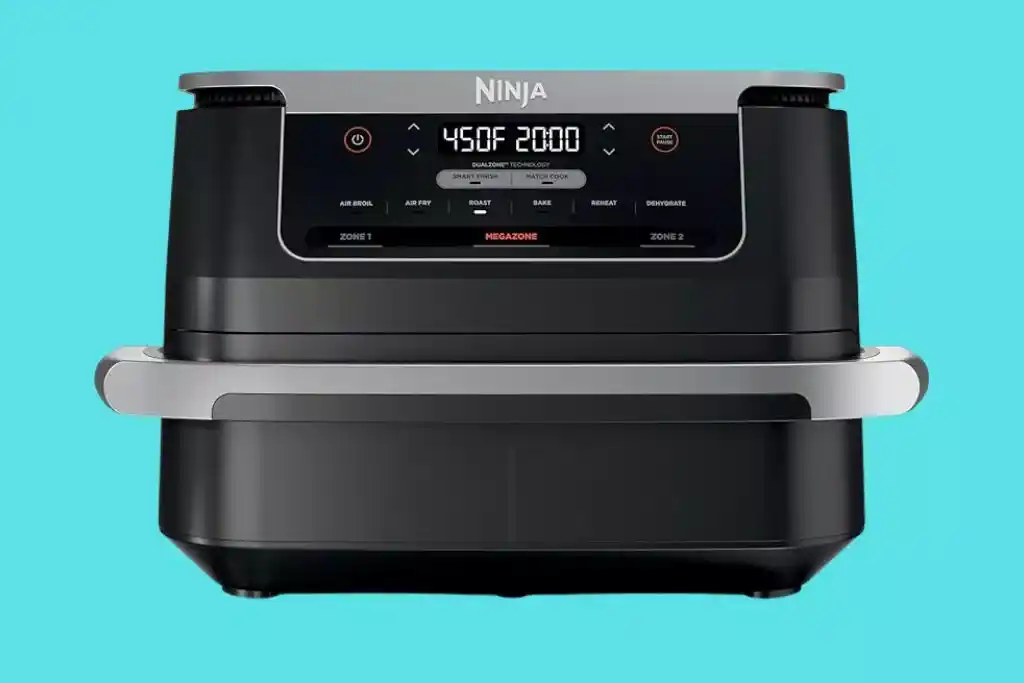 Ninja Foodi DZ071 review